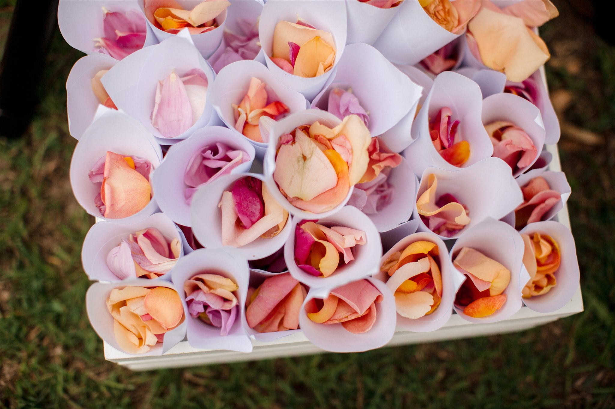 Rose petal cones