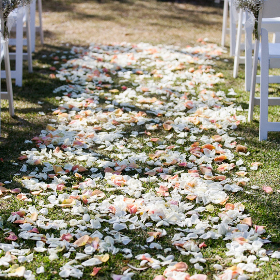 Hire Petal aisle - medium 