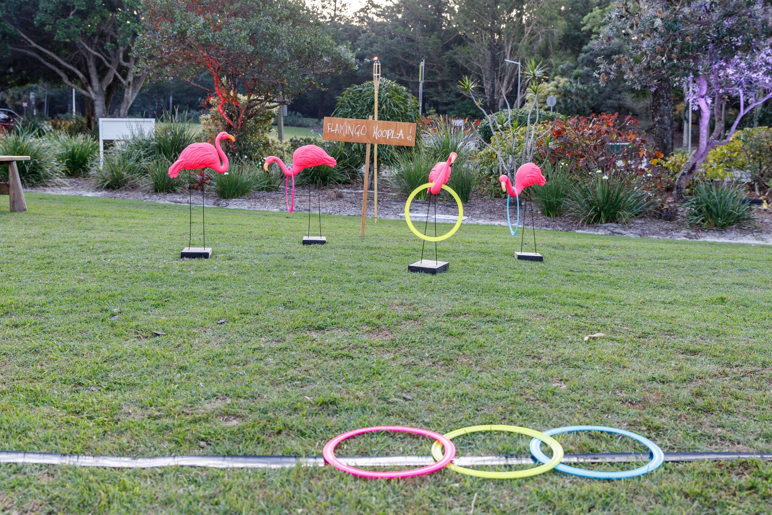 Hire Flamingo toss 