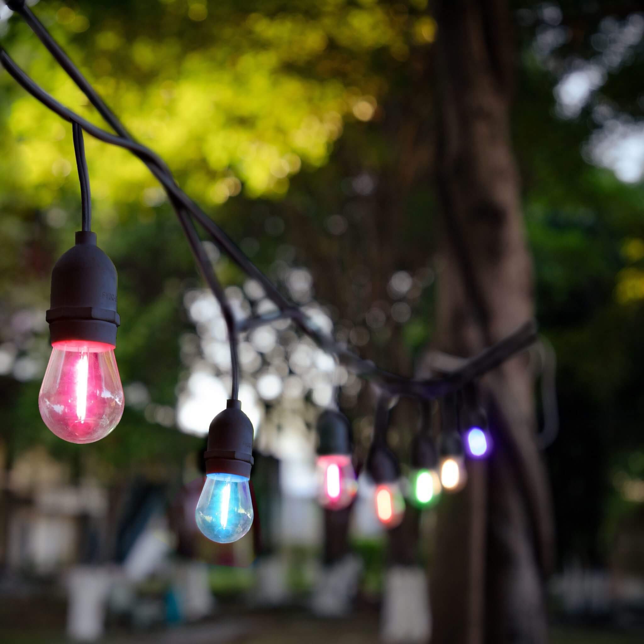 Hire 20mt festoon (small coloured bulbs) 