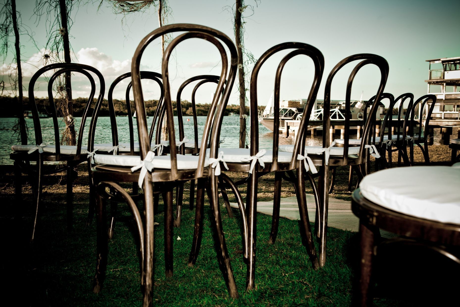 Hire Bentwood chairs (dark timber) 