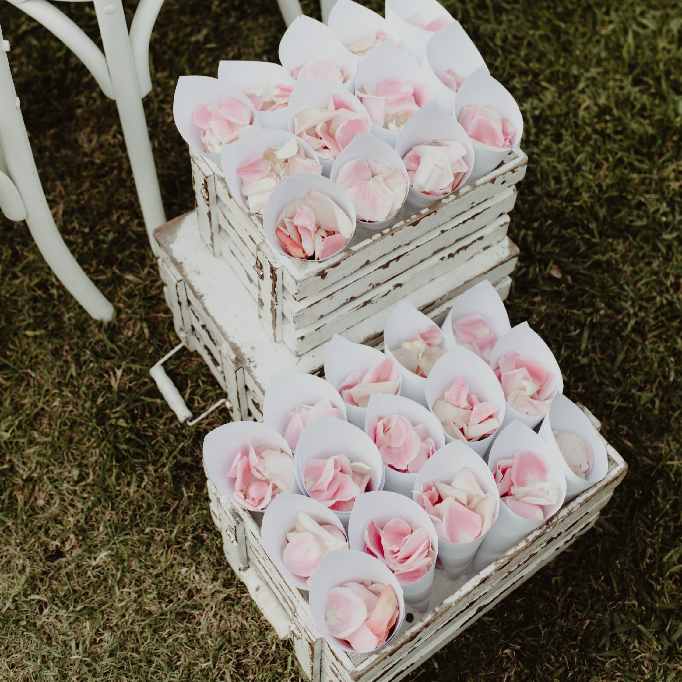 Hire Rose petal cones 