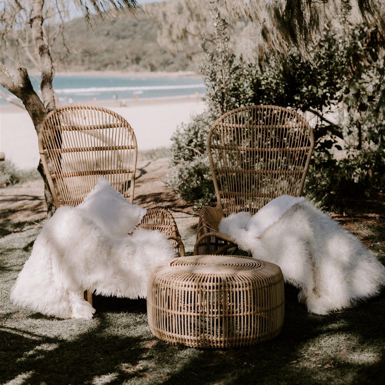 Hire Natural peacock chairs registry setting 